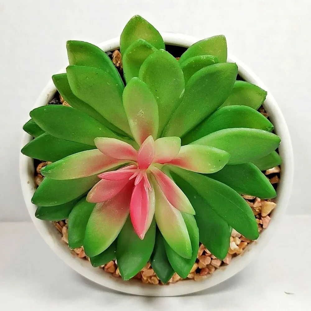 Modern Coastal Artificial Succulent Potted Houseplant Navy Blue White Chevron